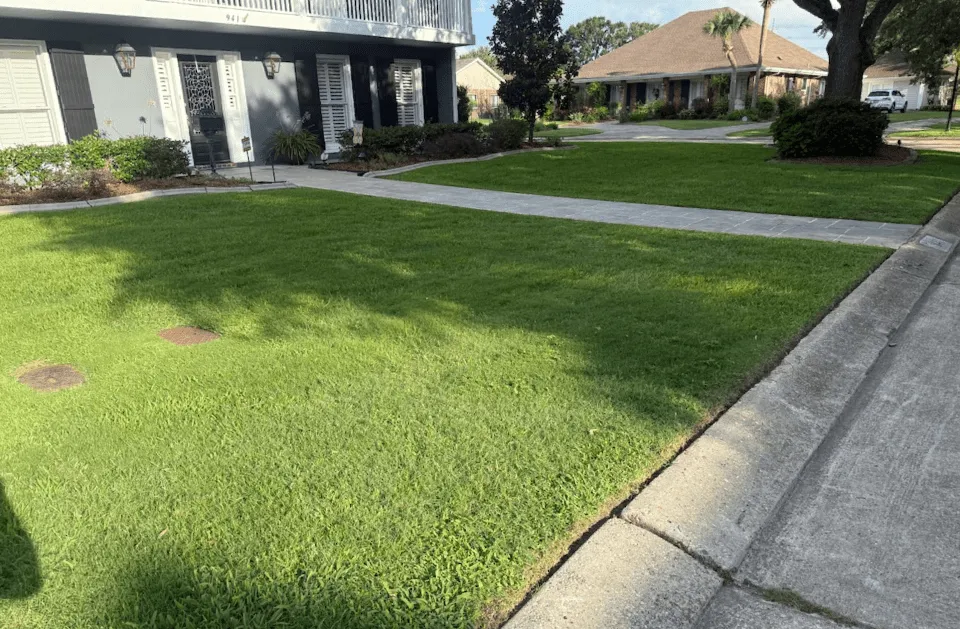 Affordable lawn care service for beautiful yards in Belle Chasse, LA by Extensive Lawns