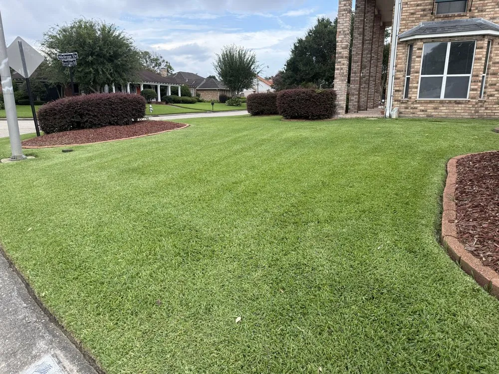Local residential landscaping for outdoor upgrades across Belle Chasse, LA - Extensive Lawns