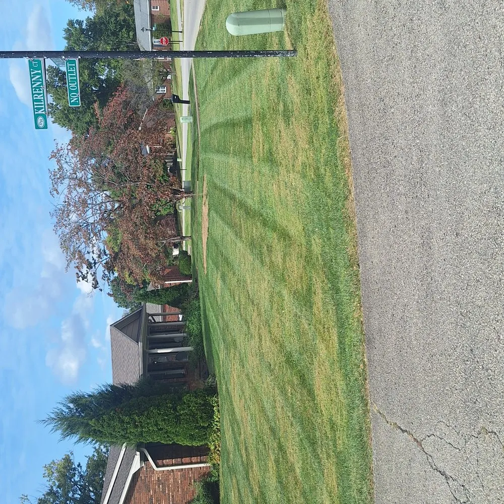 Affordable outdoor landscaping experts serving Louisville, KY - Extensive Services