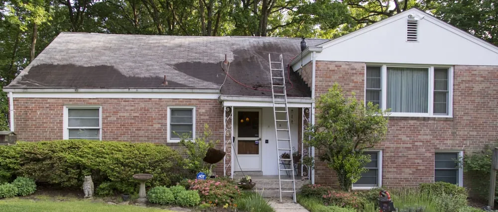 Local garden landscaping for year-round maintenance in Greenbelt, MD by Exterior Care Service