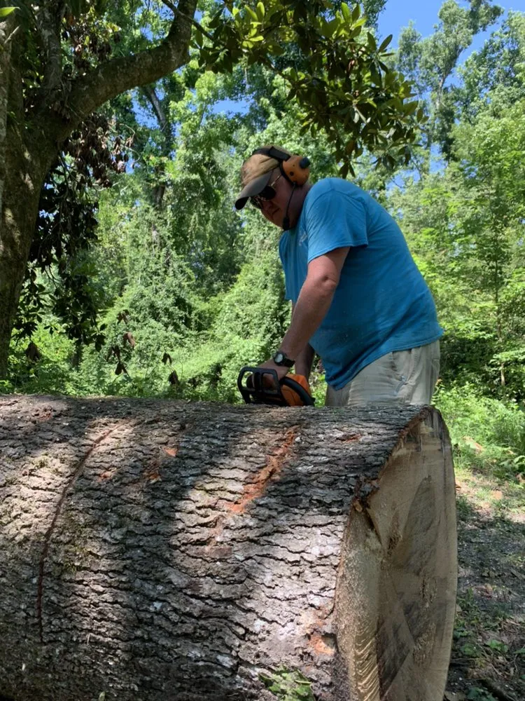 Affordable outdoor landscaping for beautiful yards in Tallahassee, FL by Exterior Design & Lawn Service