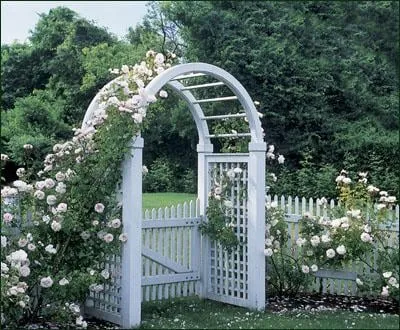 Affordable landscape installation for outdoor upgrades in Atlanta, GA by Exterior Design Atlanta