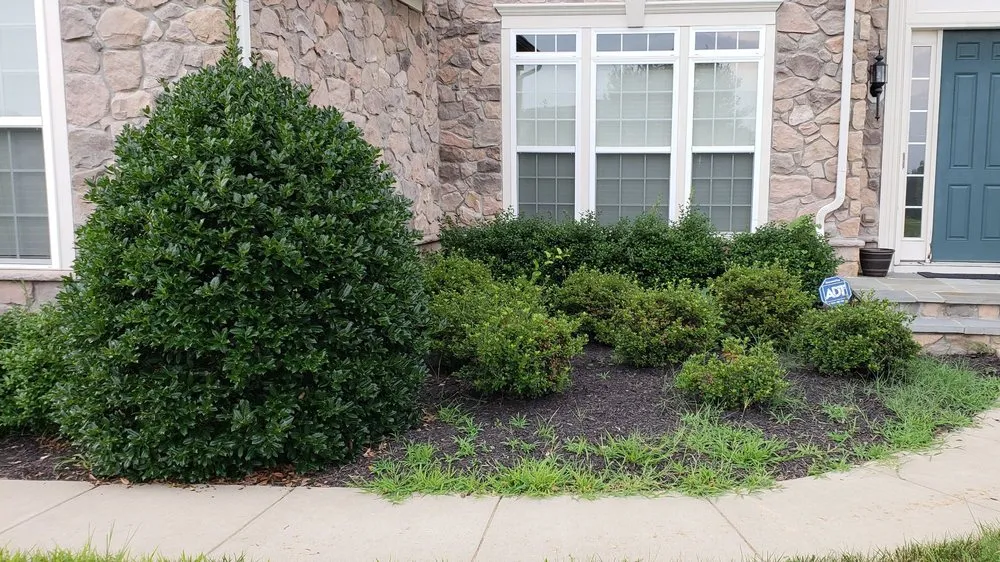 Professional residential landscaping in Fredericksburg, VA - Exterior Design