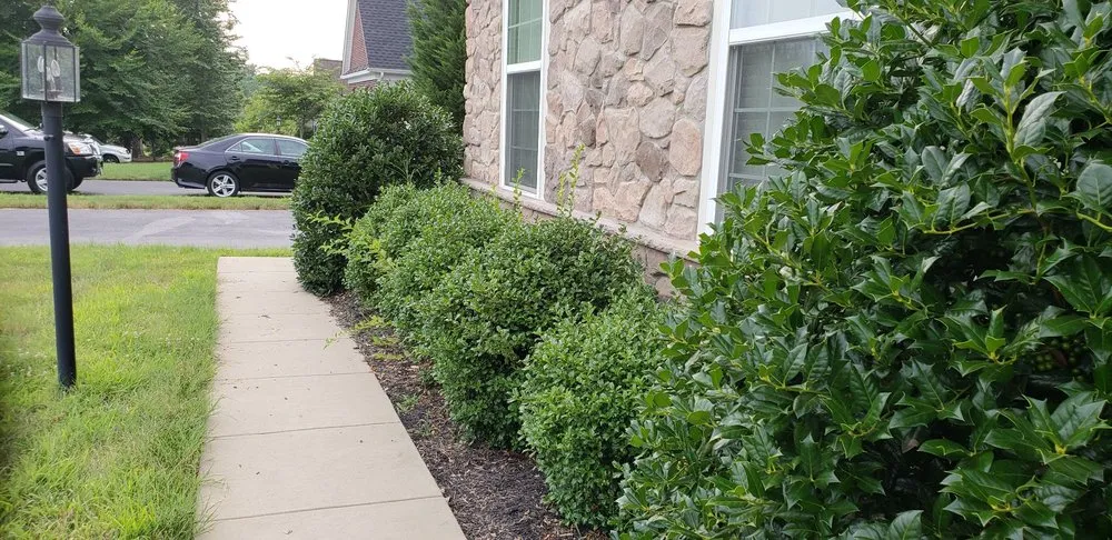 Expert landscape installation experts serving Fredericksburg, VA - Exterior Design