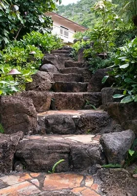 Exterior Design Logo