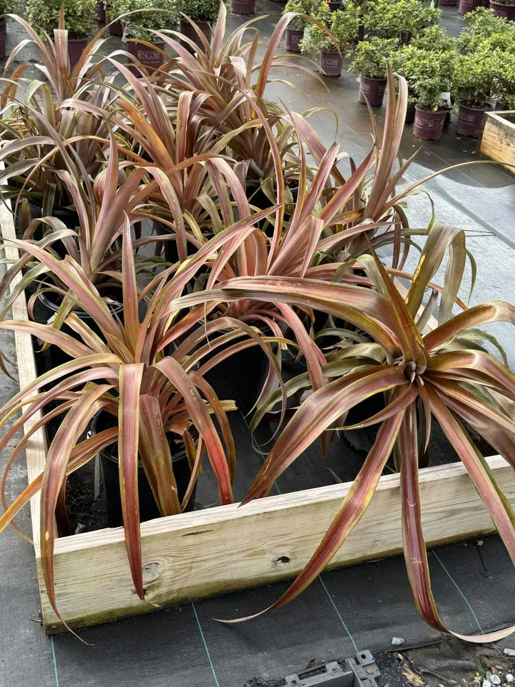 Reliable lawn mowing service for residential properties across Americus, GA - Exterior Design Landscape Services