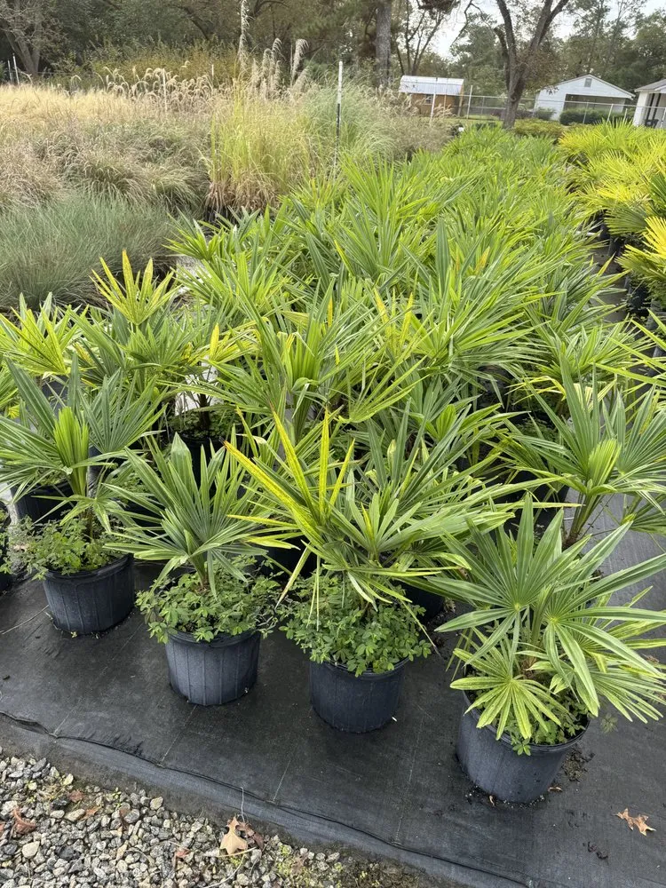 Affordable garden landscaping experts serving Americus, GA - Exterior Design Landscape Services