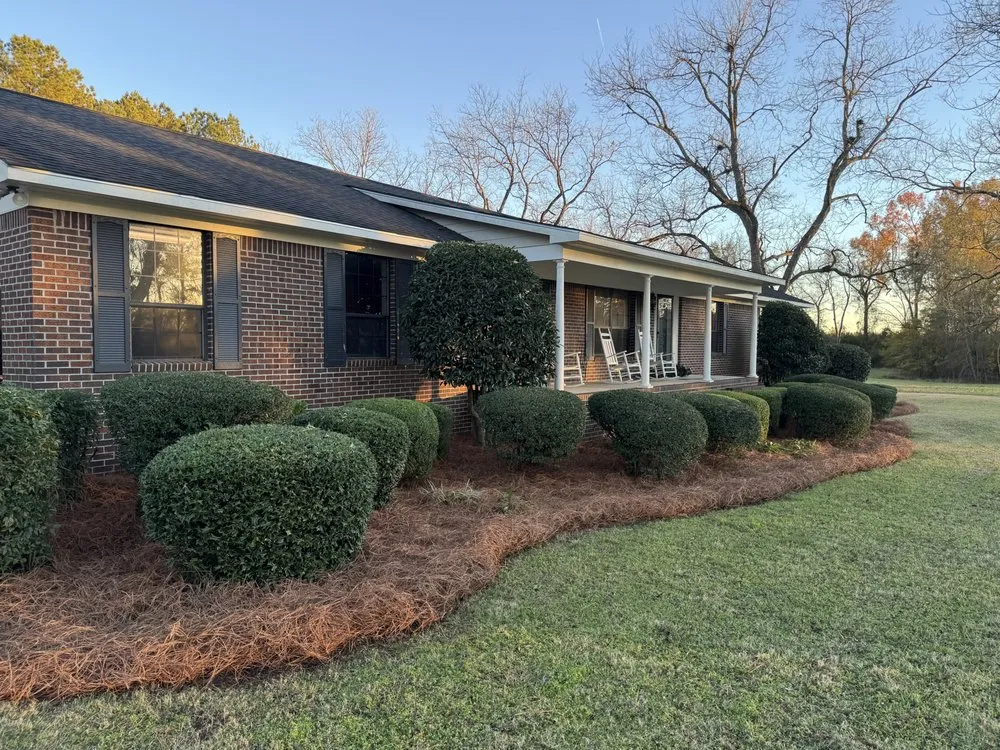 Local outdoor landscaping experts serving Americus, GA - Exterior Design Landscape Services