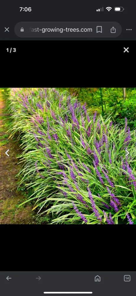 Trusted garden landscaping for homes in Americus, GA by Exterior Design Landscape Services