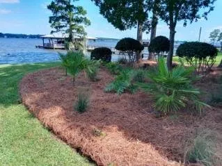 Trusted yard cleanup service experts serving Americus, GA - Exterior Design Landscape Services