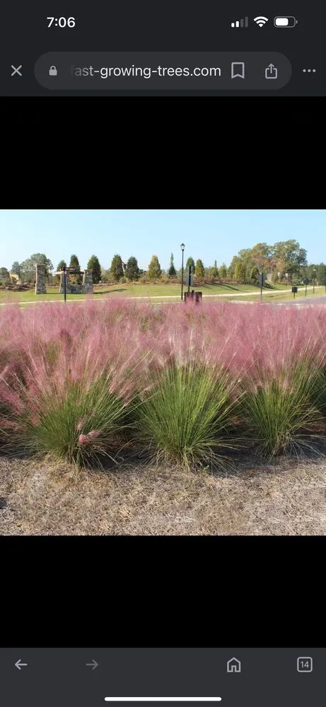 Professional residential landscaping in Americus, GA by Exterior Design Landscape Services