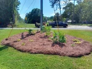 Professional landscaping services experts serving Americus, GA - Exterior Design Landscape Services