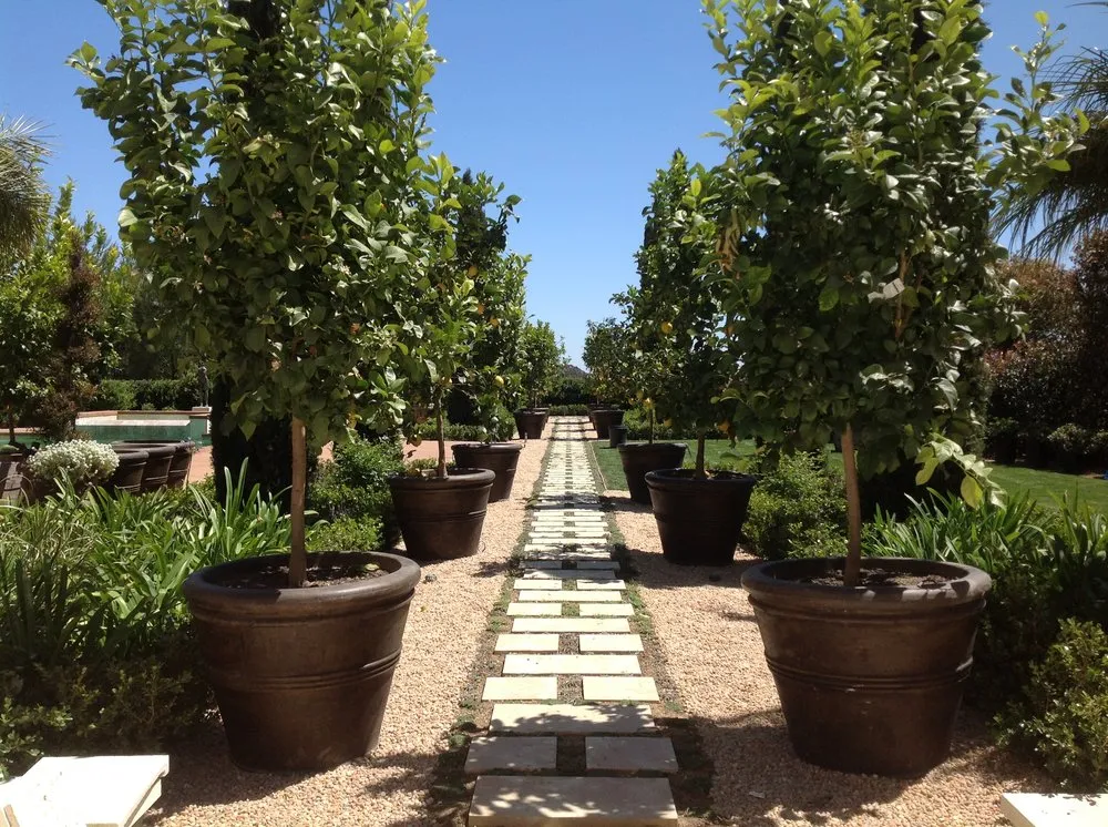 Custom yard maintenance experts serving West Hills, CA - Exterior Designs & Landscape Construction In