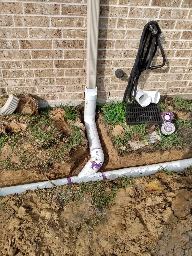 Expert yard cleanup service in Houston, TX - Exterior Effect Design and Construction