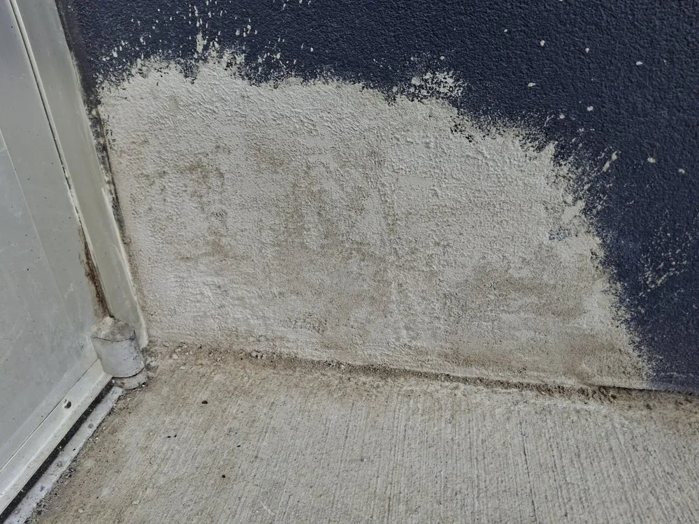 Top-rated yard maintenance near you across Benton Harbor, MI - Exterior Element Property Services