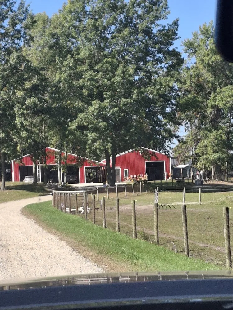 Reliable yard maintenance for homes in Benton Harbor, MI by Exterior Element Property Services