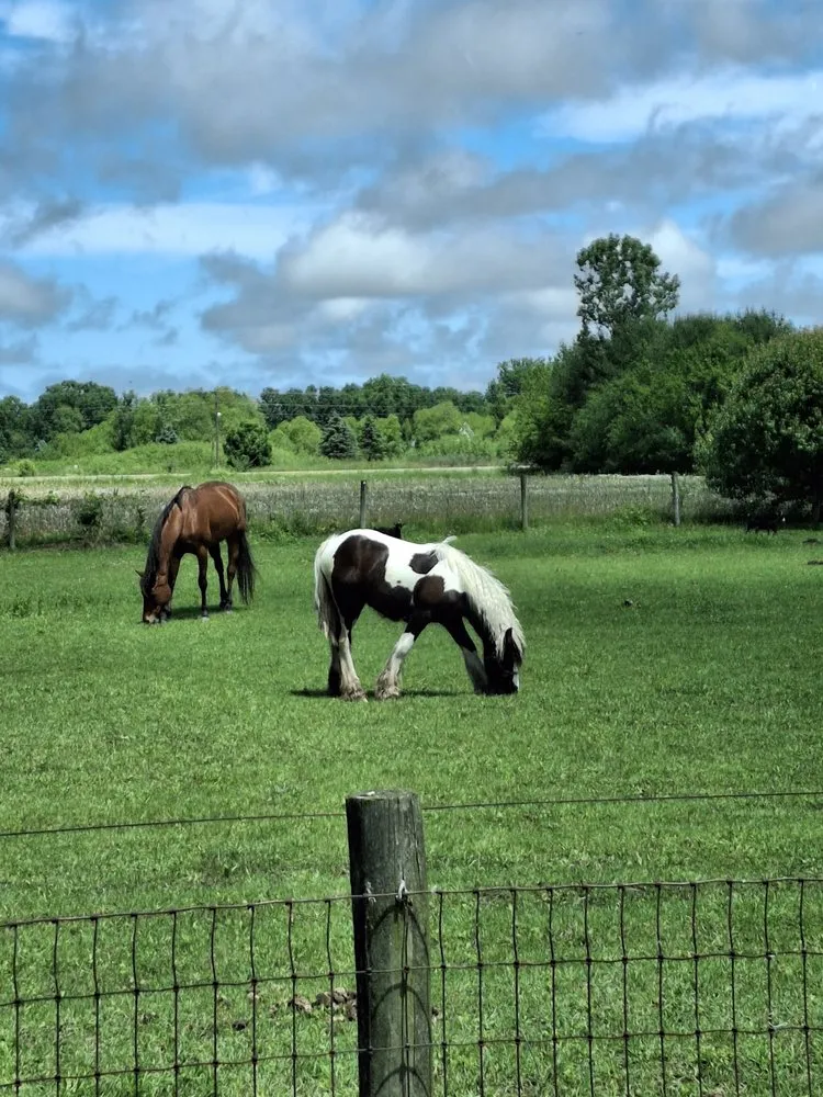 Professional landscape installation in Benton Harbor, MI - Exterior Element Property Services