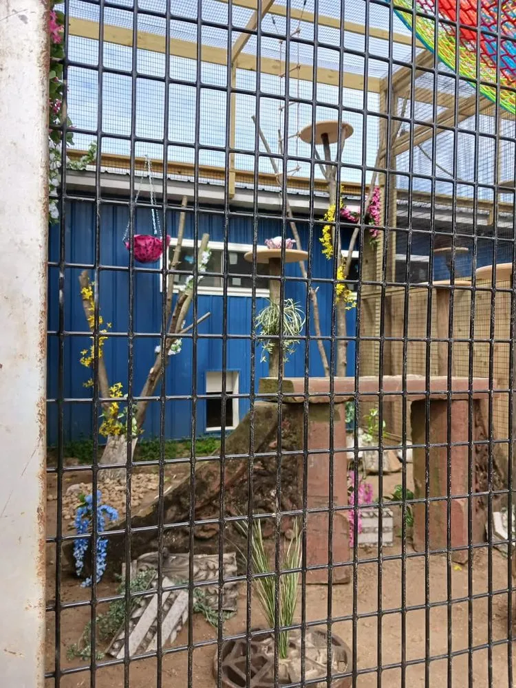 Custom garden landscaping for beautiful yards across Benton Harbor, MI - Exterior Element Property Services