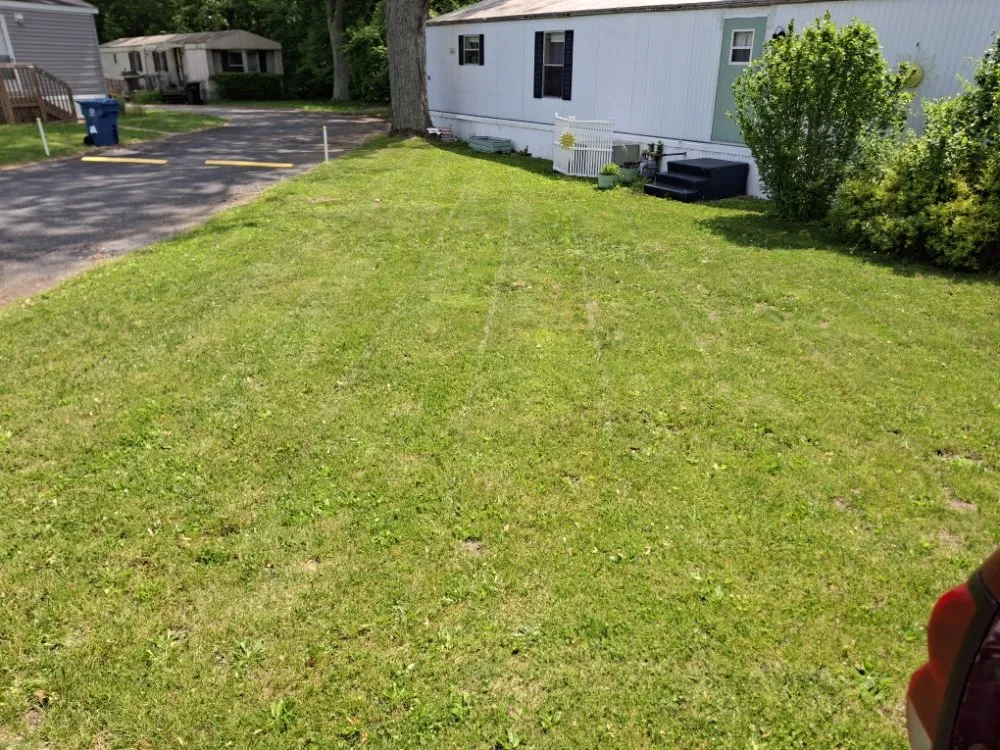 Expert lawn mowing service in Benton Harbor, MI - Exterior Element Property Services