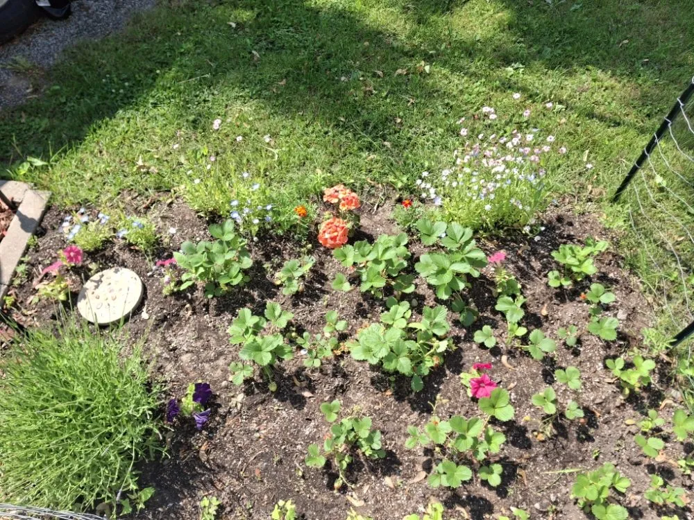 Professional yard cleanup service for homes in Benton Harbor, MI by Exterior Element Property Services