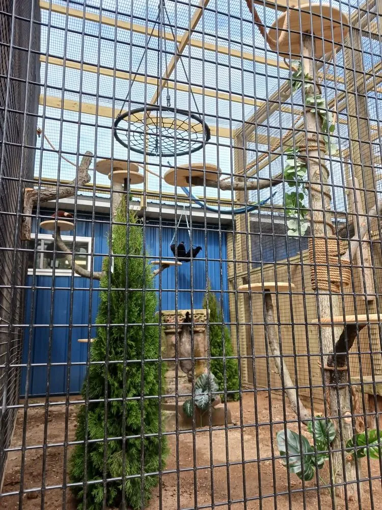 Reliable yard maintenance for residential properties across Benton Harbor, MI - Exterior Element Property Services