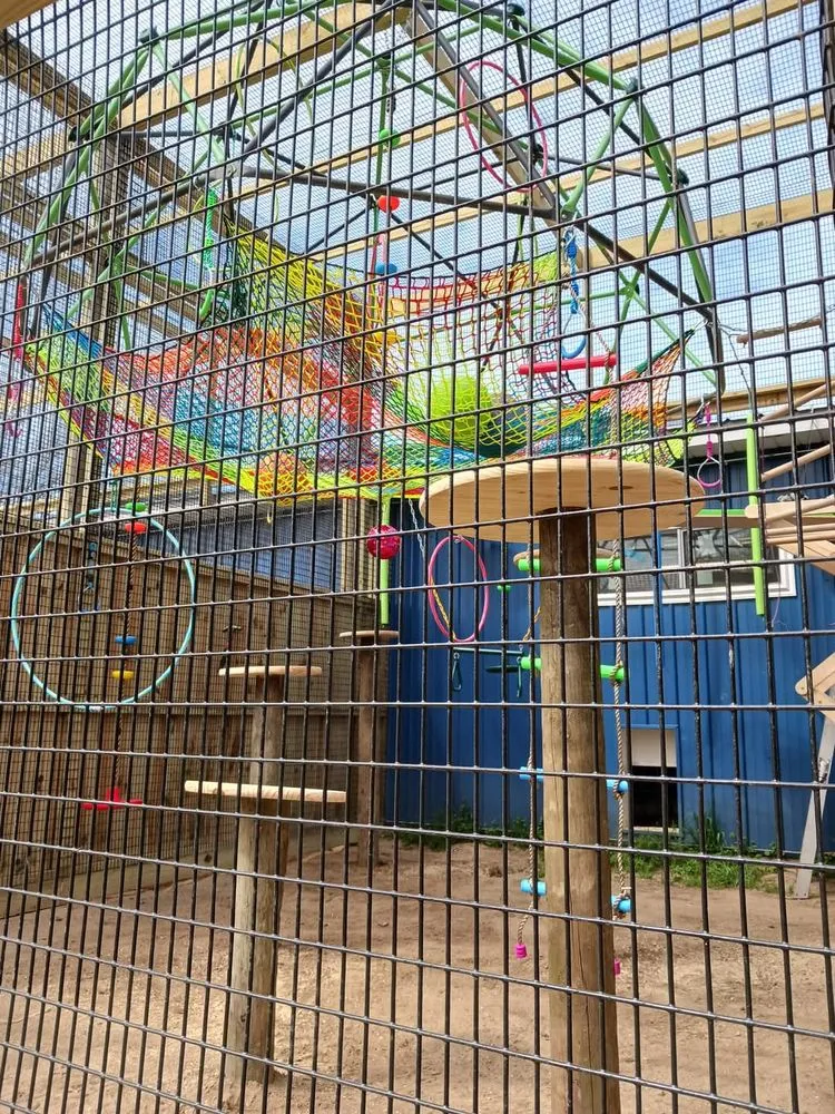 Trusted landscaping services experts serving Benton Harbor, MI - Exterior Element Property Services