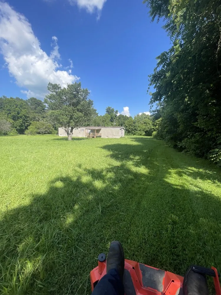 Expert yard maintenance in Mercer, TN - Exterior Elite