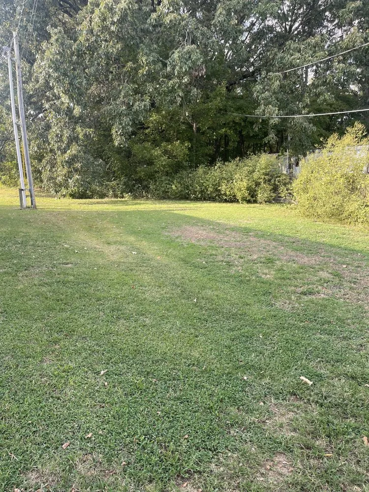 Local landscaping services near you in Mercer, TN by Exterior Elite