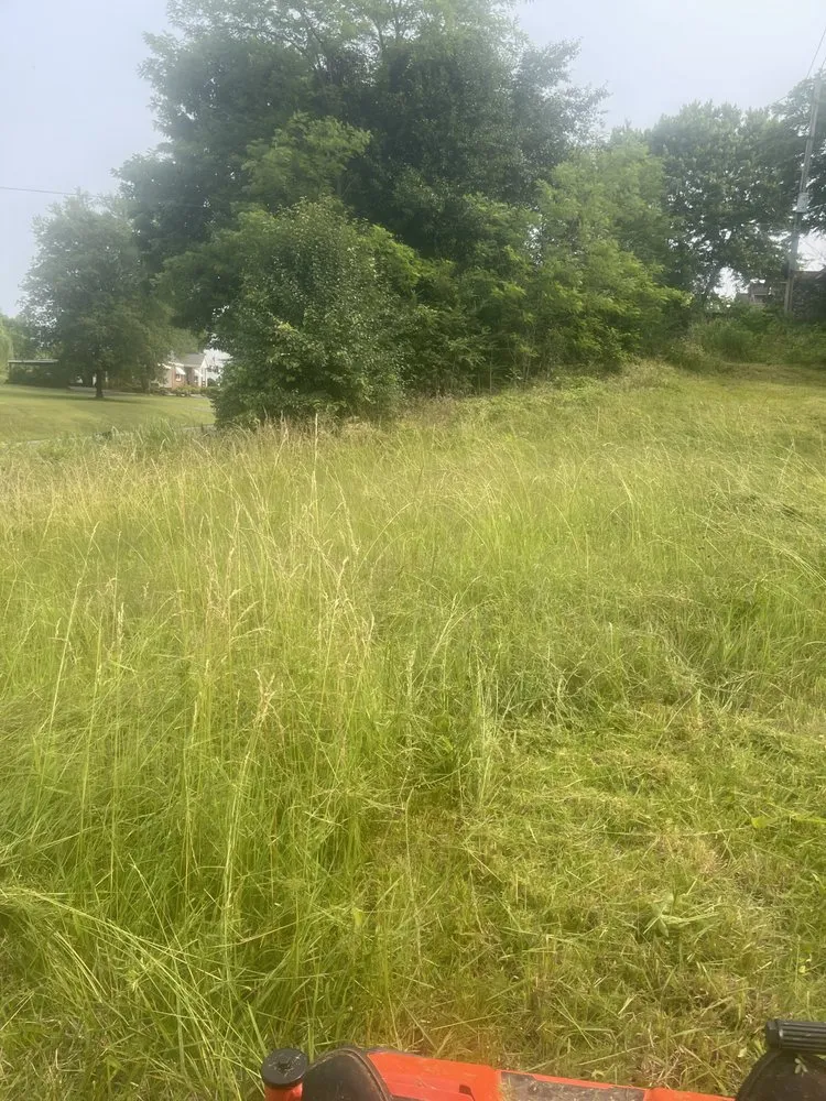 Reliable yard maintenance experts serving Mercer, TN - Exterior Elite