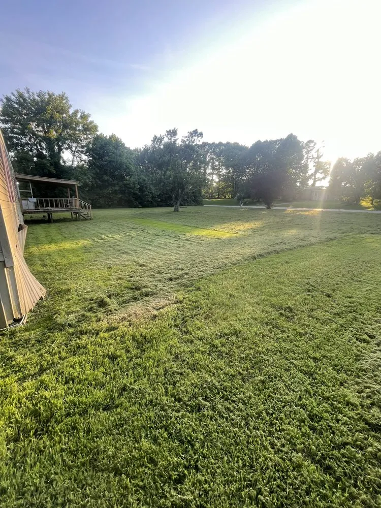 Reliable outdoor landscaping in Mercer, TN - Exterior Elite