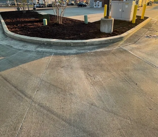 Top-rated yard cleanup service for year-round maintenance in Mercer, TN by Exterior Elite