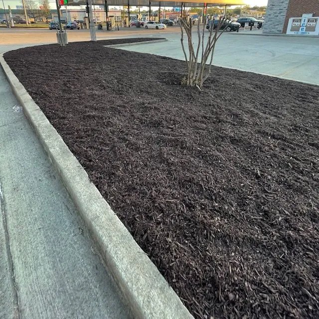 Top-rated outdoor landscaping for year-round maintenance across Mercer, TN - Exterior Elite