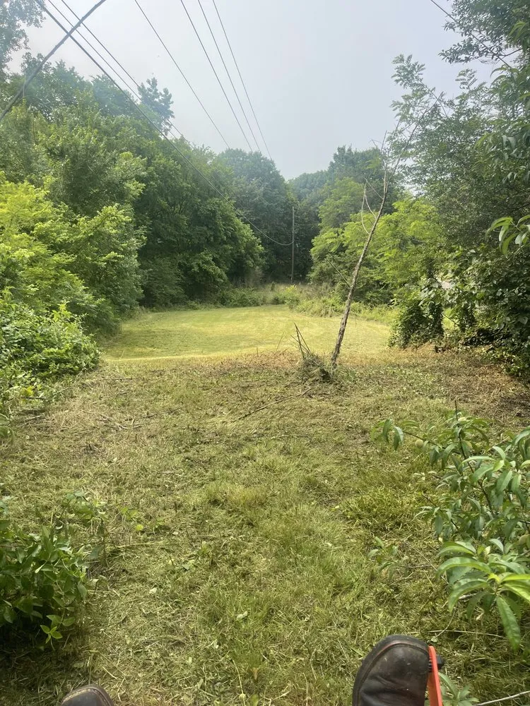 Affordable lawn care service experts serving Mercer, TN - Exterior Elite
