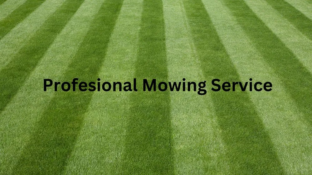 Affordable outdoor landscaping for homes across South Berwick, ME - Exterior Etcetera