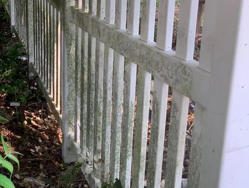 Trusted landscape installation with custom design across Pleasantville, NJ - Exterior Experts Pressure Washing