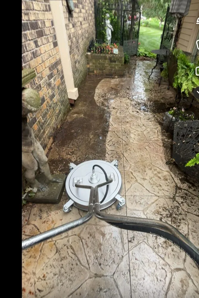 Professional yard cleanup service in Logan, IA by Exterior Home Cleaning Services