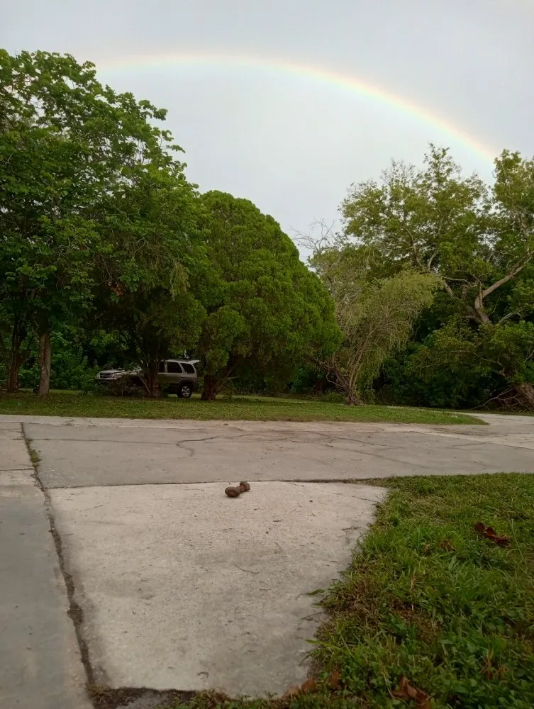 Professional residential landscaping in Bradenton, FL by Exterior Home Services