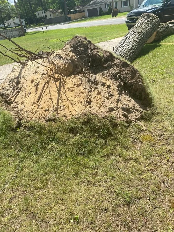 Expert outdoor landscaping for residential properties in Grant, MI by Exterior Home Services