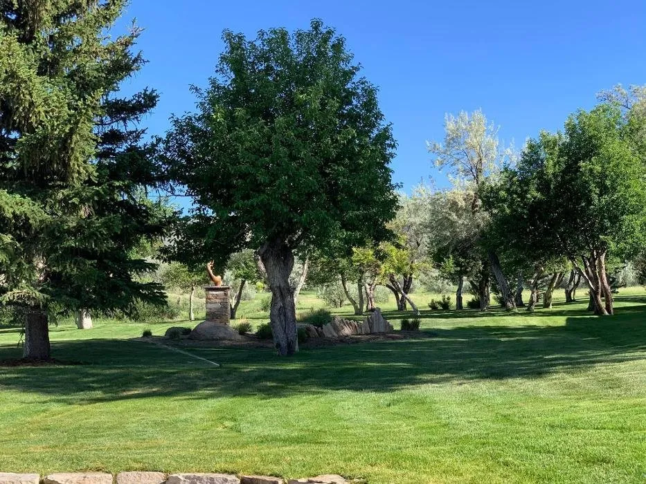 Custom landscape design for year-round maintenance across Casper, WY - Exterior Innovations