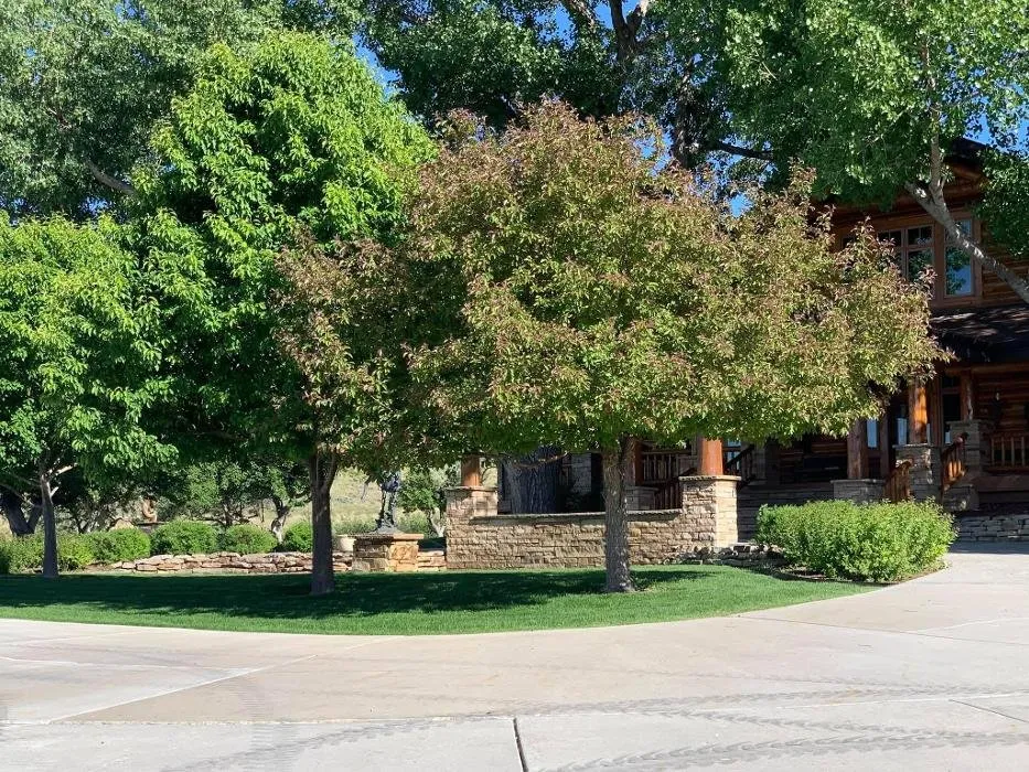 Professional residential landscaping for beautiful yards in Casper, WY by Exterior Innovations