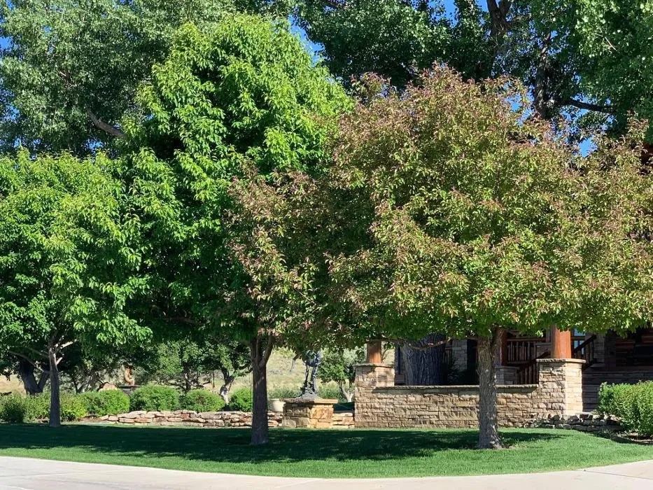 Expert residential landscaping for year-round maintenance in Casper, WY by Exterior Innovations