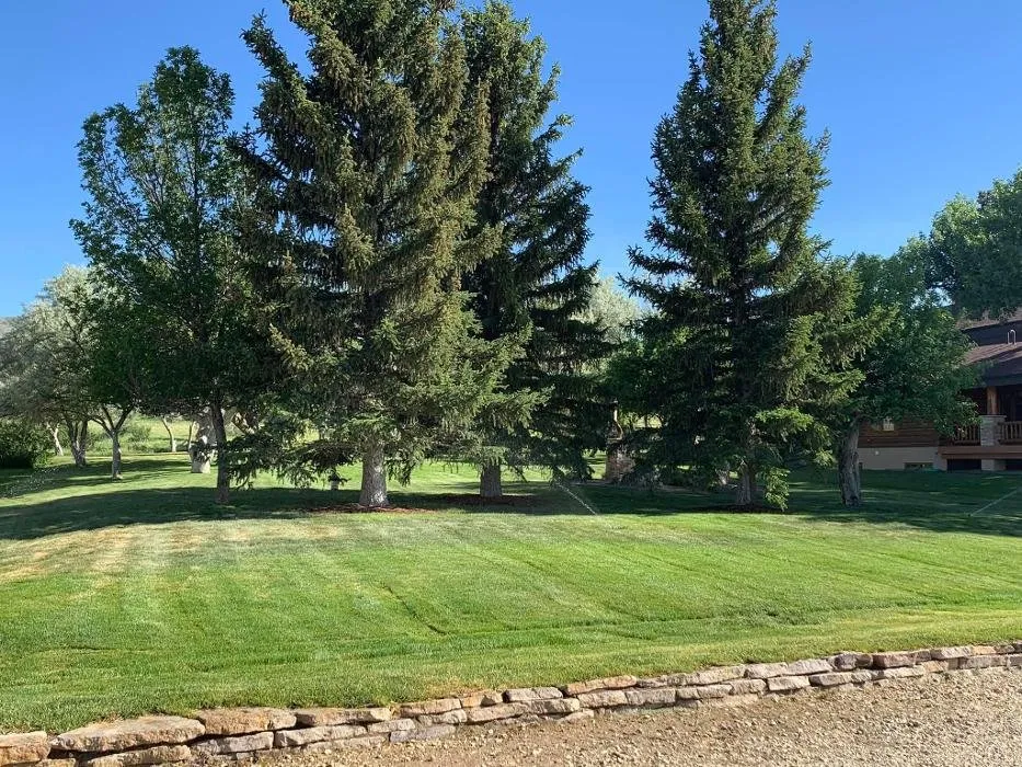 Top-rated landscaping services with custom design in Casper, WY by Exterior Innovations