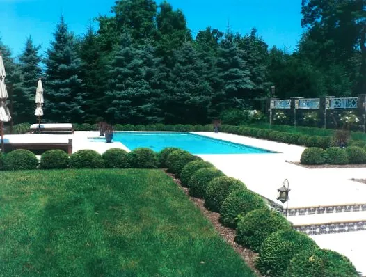Expert yard cleanup service for year-round maintenance across Waccabuc, NY - Exterior Landscapes