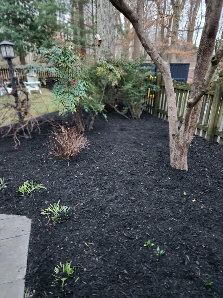 Expert lawn care service in Leesburg, VA by Exterior Logistics