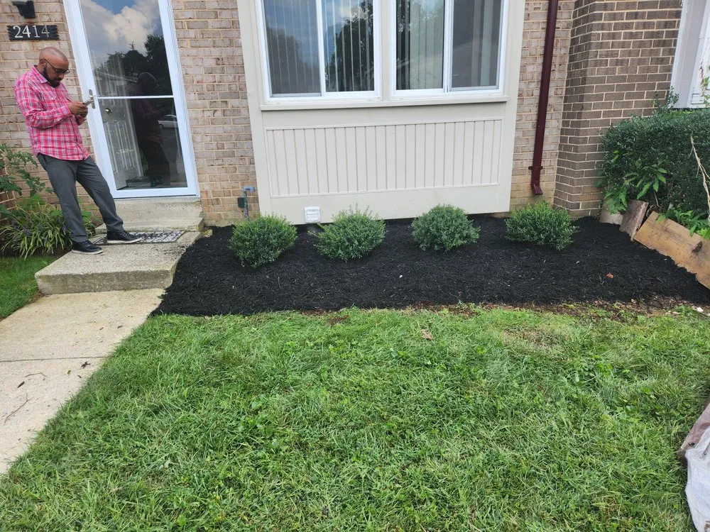 Custom yard cleanup service in Leesburg, VA - Exterior Logistics