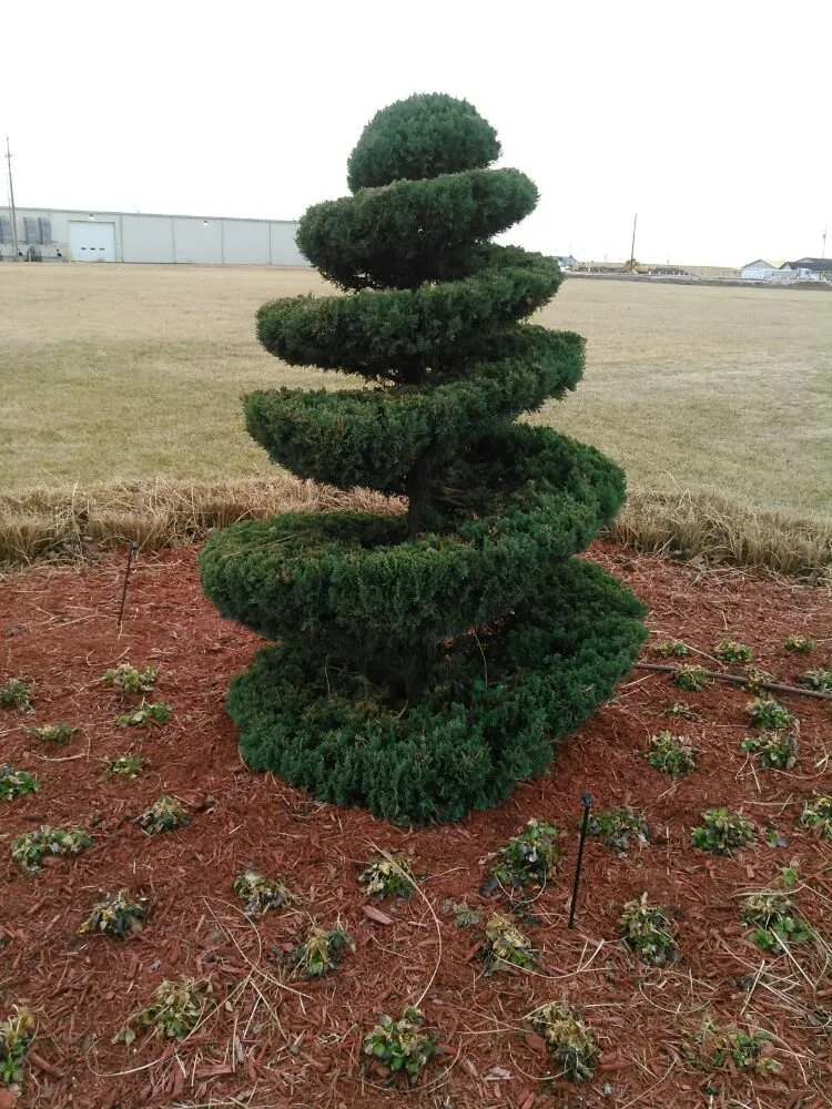 Reliable landscape installation in Neosho, MO - Exterior Maintenance Solutions