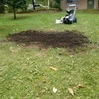 Top-rated yard cleanup service in Puposky, MN - Exterior Professionals