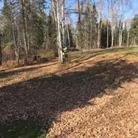 Trusted landscape installation for homes across Puposky, MN - Exterior Professionals