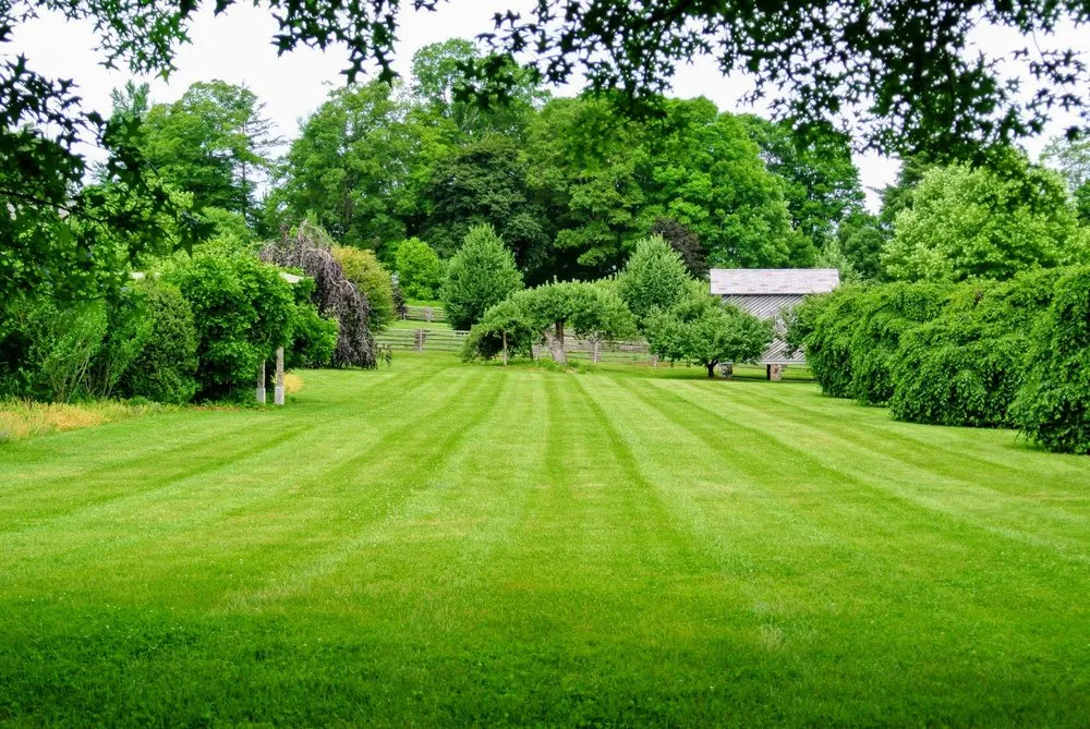 Local landscaping services in Puposky, MN by Exterior Professionals