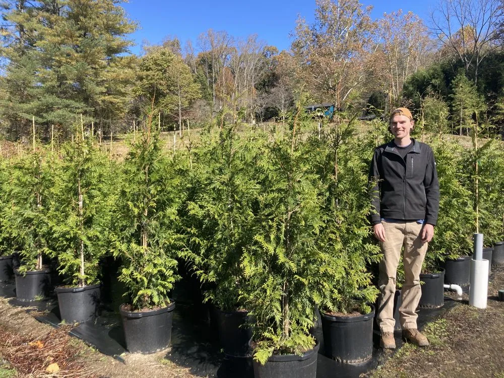 Affordable yard cleanup service for residential properties in Asheville, NC by Exterior Solutions Asheville